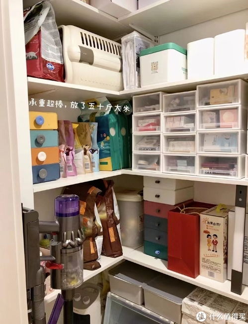 沒(méi)有父母參與的裝修,到底有多爽